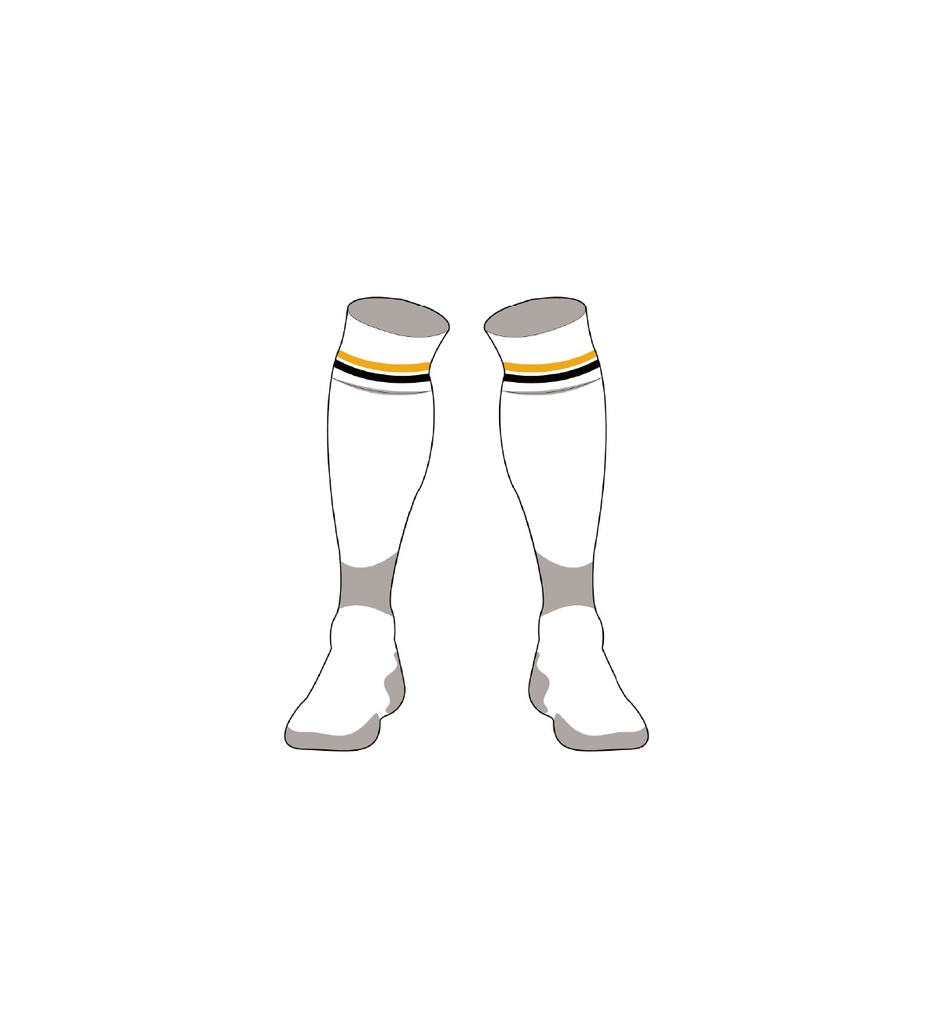 DCSL Goalkeeper Socks - AWAY