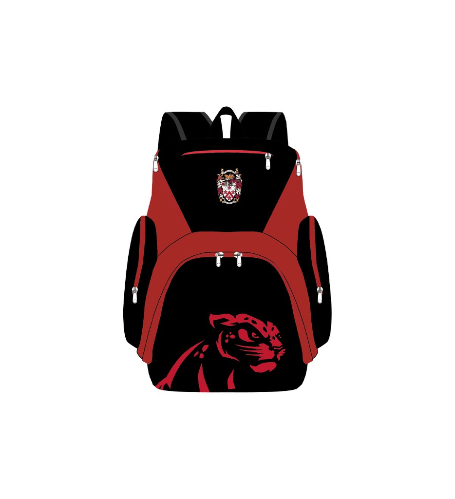 DCSL 백팩